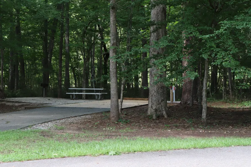 Campsites — IMG 4672