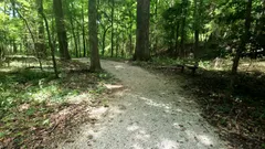 Jennings Ferry — Birding trail