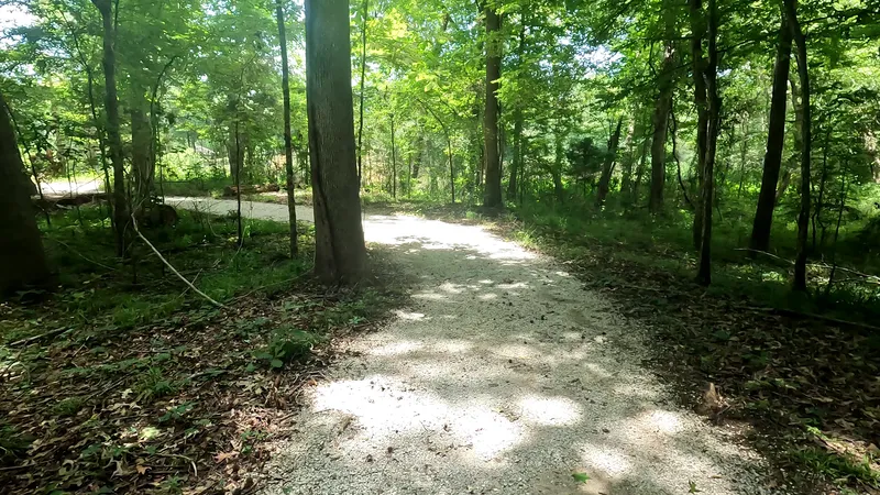 Birding trail — birdingtrail2