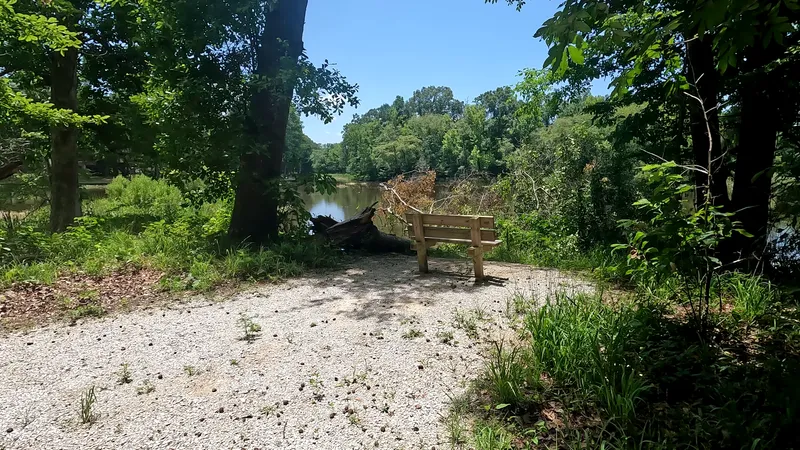 Birding trail — birdingtrail3
