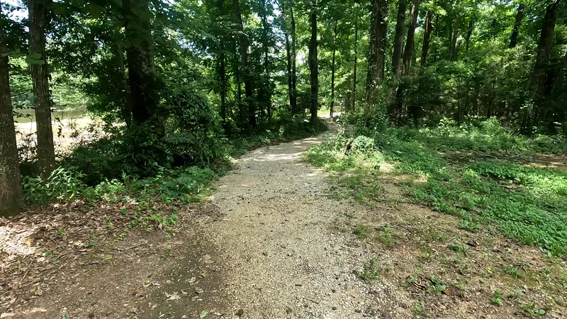 Birding trail — birdingtrail6