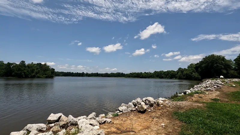 Water & surroundings — lakeview2
