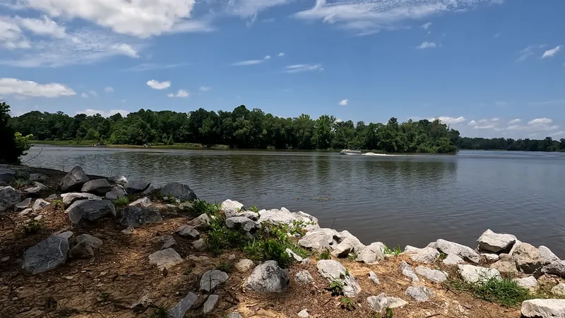 Water & surroundings — lakeview4